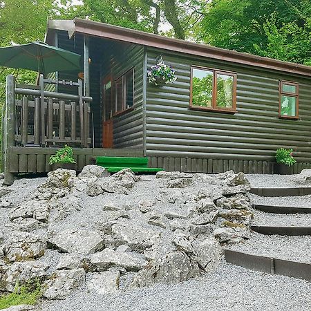 Отель Garnffrwd Park Llanddarog Экстерьер фото