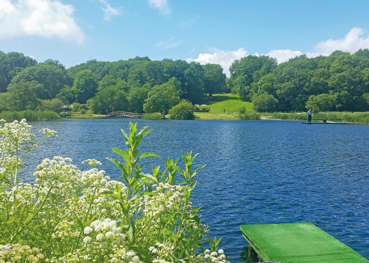 Отель Garnffrwd Park Llanddarog Экстерьер фото