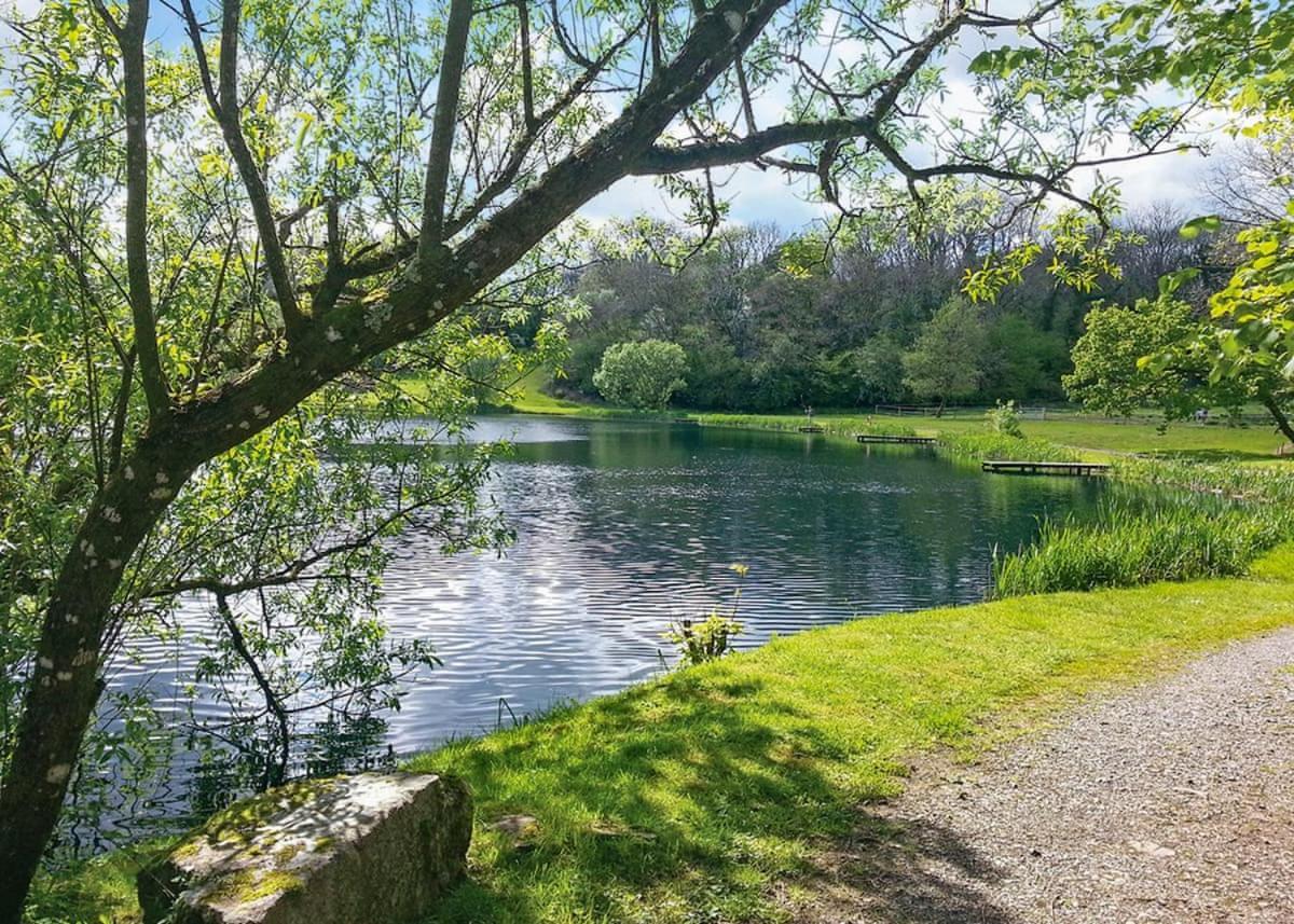 Отель Garnffrwd Park Llanddarog Экстерьер фото